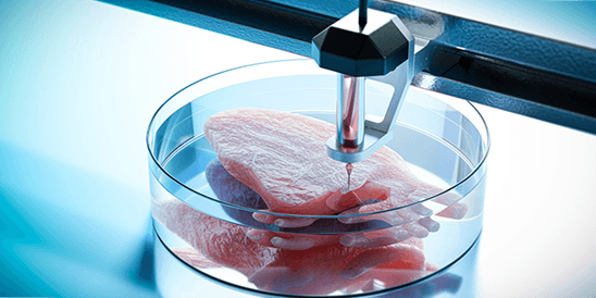 Tissue Engineering